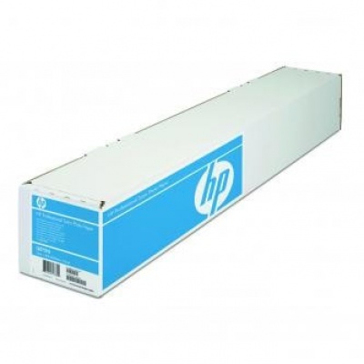 HP 610/15.2m/Professional Satin Photo, 610mmx15.2m, 24", Q8759A, 300 g/m2, foto papír, satén