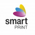 Smart Print FG-S163-E1, 3D filament, PLA, 1,75mm, 1000g, Fialový (Purple plum)