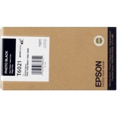 Epson T602100 photo čierna (photo black) originálna cartridge