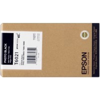 Epson C13T602100 photo čierna (photo black) originálna cartridge