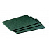 3M Scotch-Brite™ 96 Drhnúci pad pre kuchyne, zelený, 158 x 224 mm