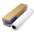 Epson WaterResistant Matte Canvas Roll C13S042016, 375 g/m2, 44", 1118mmx12.2m, matné, biele, plátno