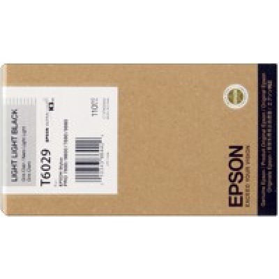 Epson T602900 svetle čierna (light black) originálna cartridge