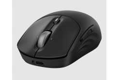 HP 705 Rechargeable Wireless Mouse ENG