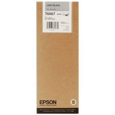 Epson C13T606700 světle čierna (light black) originálna cartridge