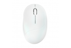 ASUS Fragrance Mouse MD101/Ergonomická/Optická/2 400 DPI/USB+BT/Biela