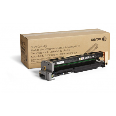 Xerox 113R00779 čierny (black) originálny toner