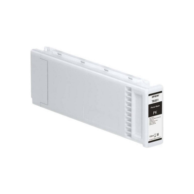Epson T8001 C13T800100 foto čierna (photo black) originálna cartridge