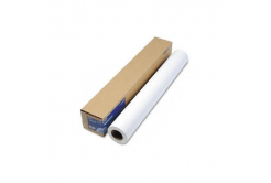 Epson Premium Glossy Photo Paper C13S042076, 170 g/m2, 16", 419mmx30.5m, lesklá, biela, role papiera